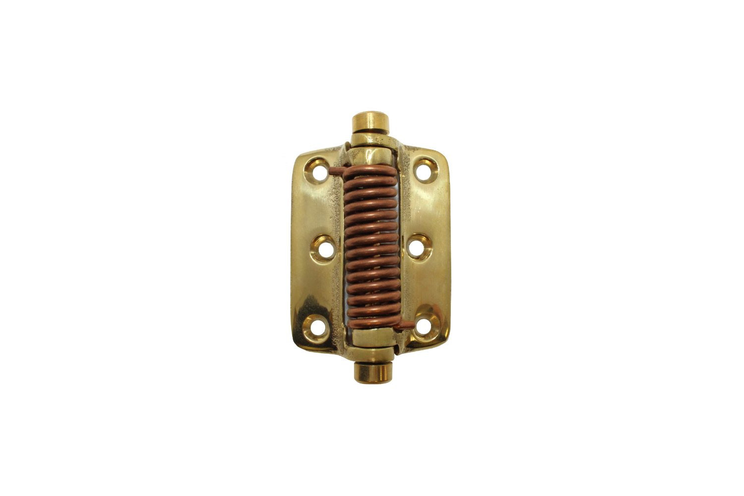 Spring Hinge