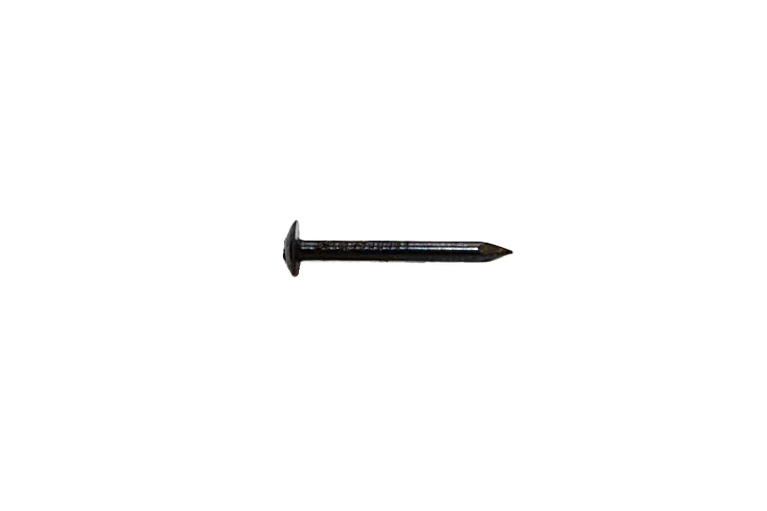 Molding Nail - 3/4"