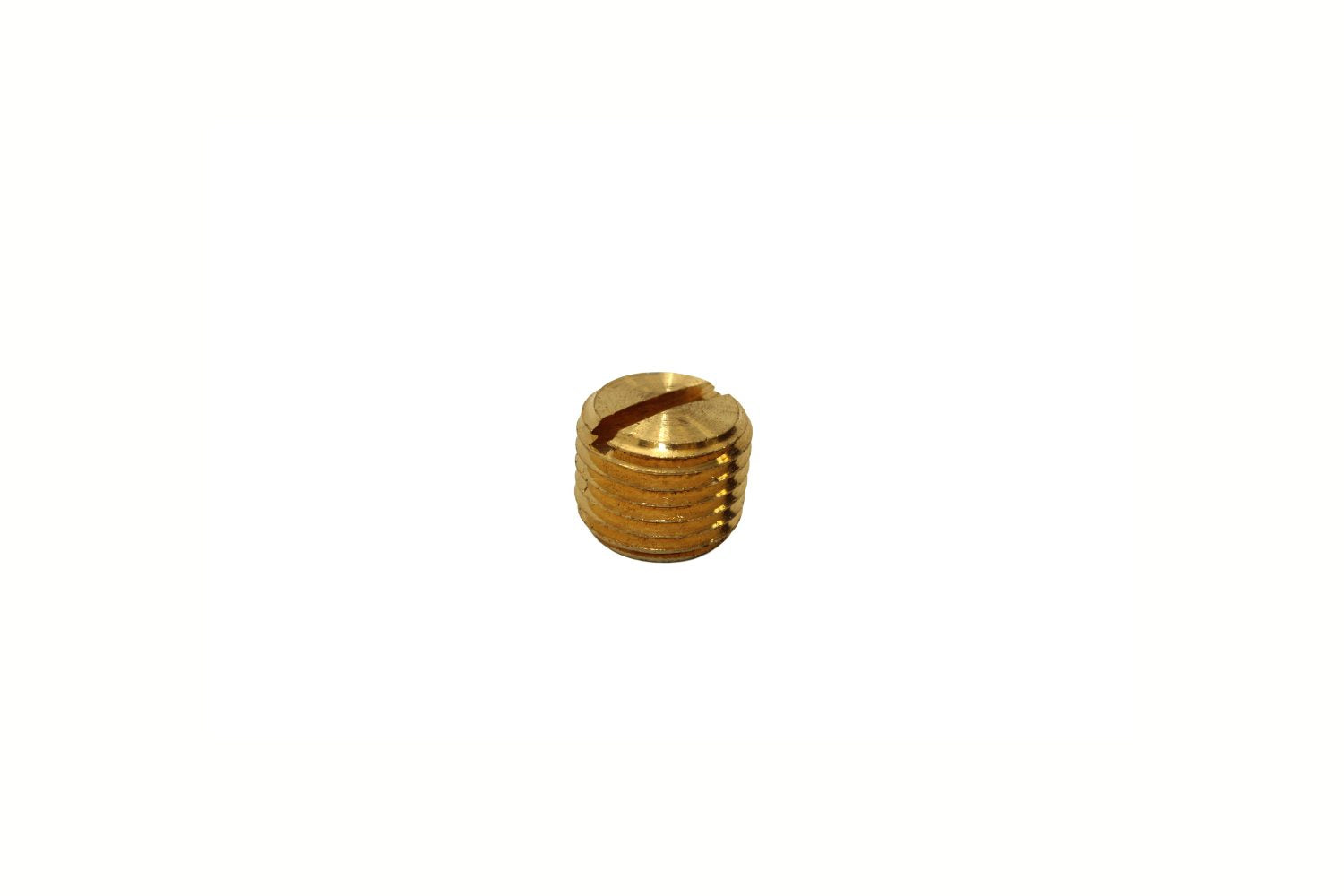 Slotted Head Pipe Plugs